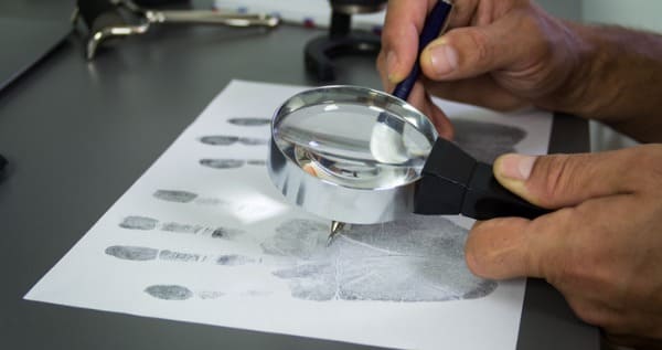 como é o curso de pericia criminal