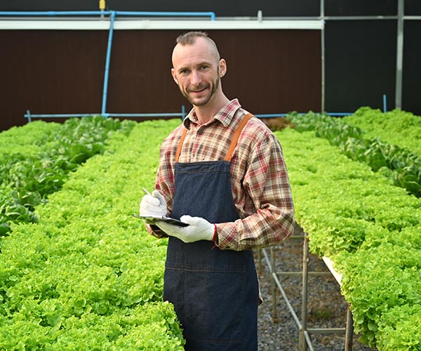 curso de agronomia
