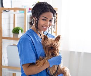 curso de medicina veterinária