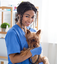 Medicina Veterinária