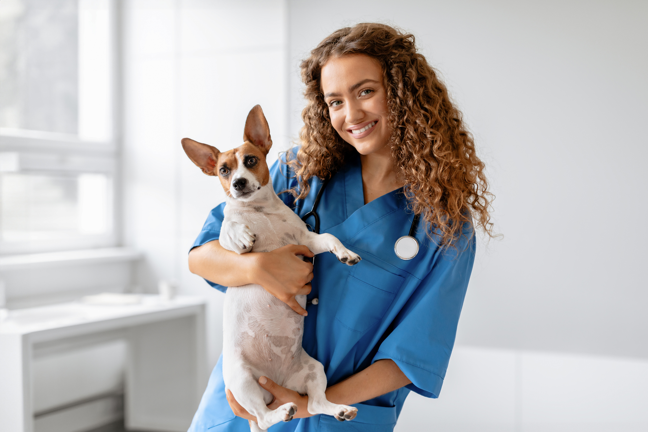mercado de trabalho em medicina veterinaria