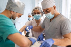 O que se aprende na faculdade de Medicina Veterinária?