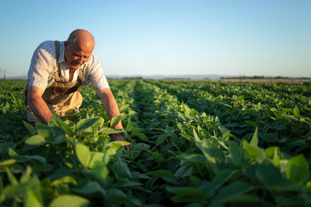 curso de agronomia