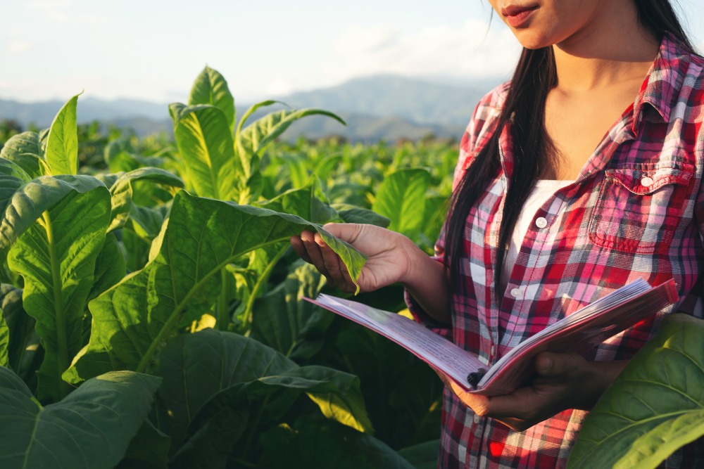 6 curiosidades sobre o curso de Agronomia que você talvez não saiba