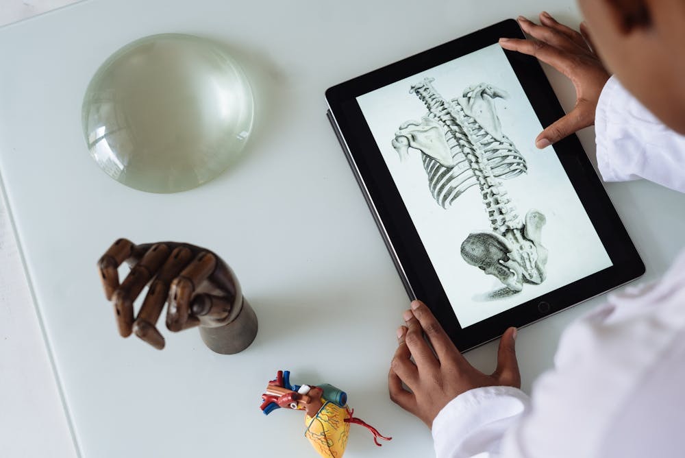 Carreiras médicas: descubra qual especialização combina com você