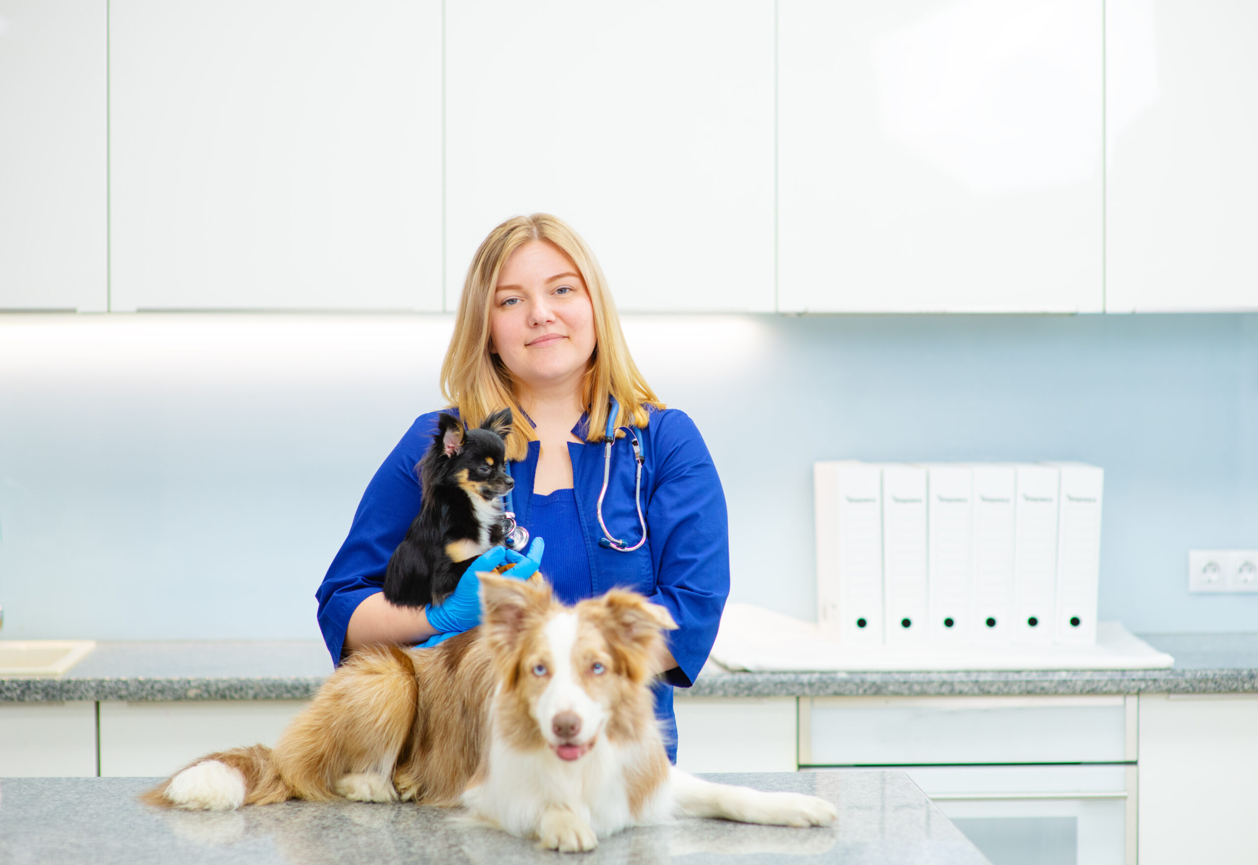 Cirurgia de Pequenos Animais - Campus Interlagos